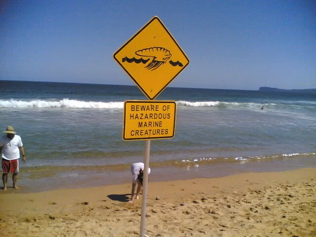 Safe Sea Jellyfish Sting Warning