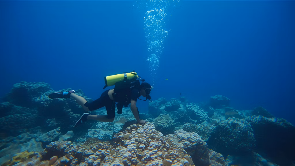 ultimate jellyfish protection sunscreen