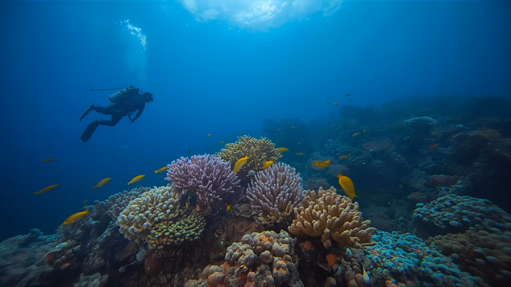 reef safe